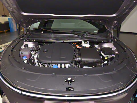 2025�� �������̰� 230�콢��