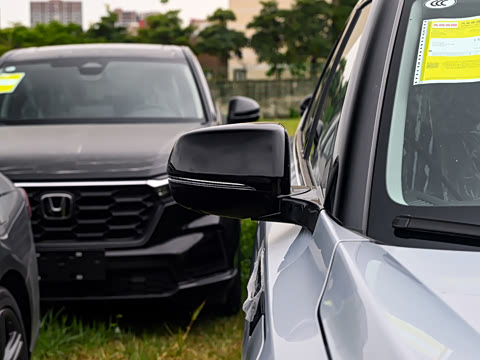 2025�� �����߰�