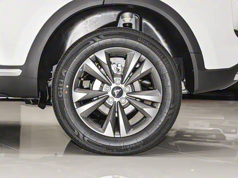 2025�� 1.5T CVT���Ȱ�