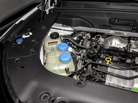 2025�� 210Max���Ȱ� 5��