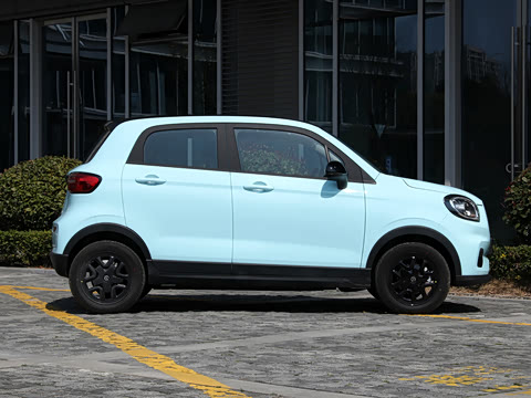 2025�� 310������