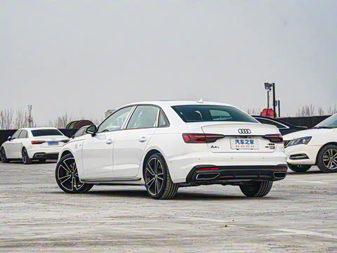 2025�� 200���������� 45 TFSI quattro ��ѡ������