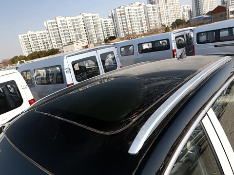 2025�� �ڶ��� DM-i 115KM��Խ��