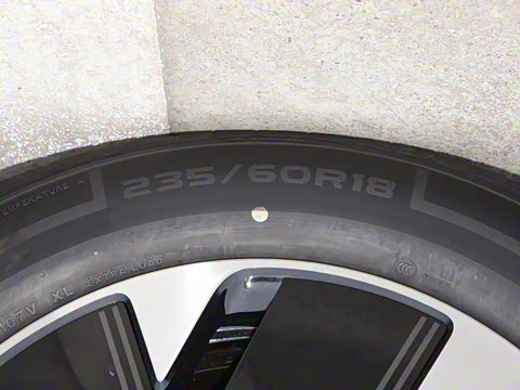 2024�� �������� Max