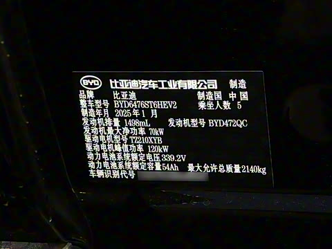 2025�� �ڶ��� DM-i 115KM��Խ��