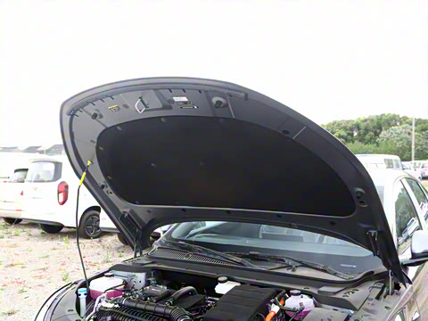 2025�� DM-i �Ǽݰ� 120KM�캽��