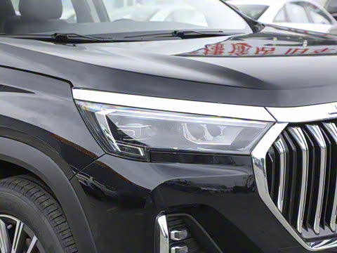 2025�� 1.6TD DCT��Ӣ�� 7��