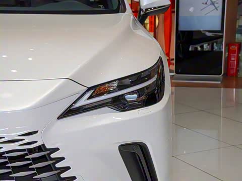 2025�� 350h ����������