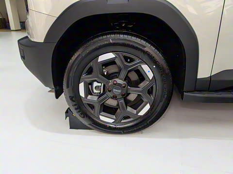 2025�� 2.0TD ��Խ