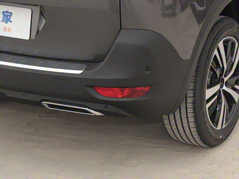 2025�� ������