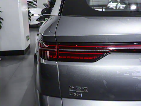 2024�� ��ҫ�� DM-i 110KM��Խ��