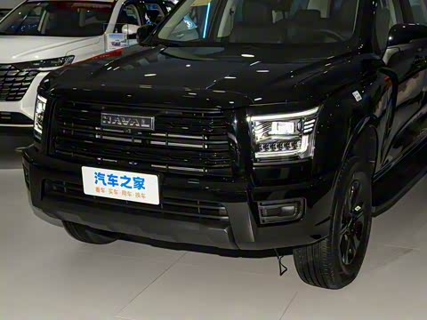 2025�� 2.0T�Զ�������Ӣ�� ����