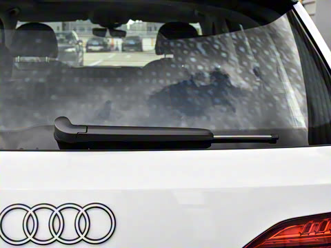 2025�� 55 TFSI quattro S line�˶���