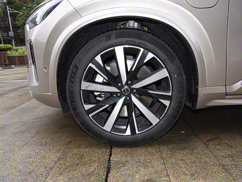 2025�� �Ŀ� T8 ��������� 7��