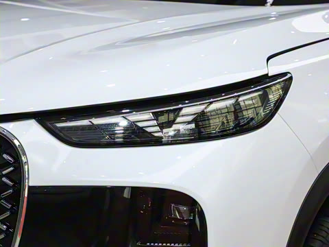 2025�� 290TGDI DCT����� 7��