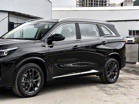 2025�� 165km ������������ 5��