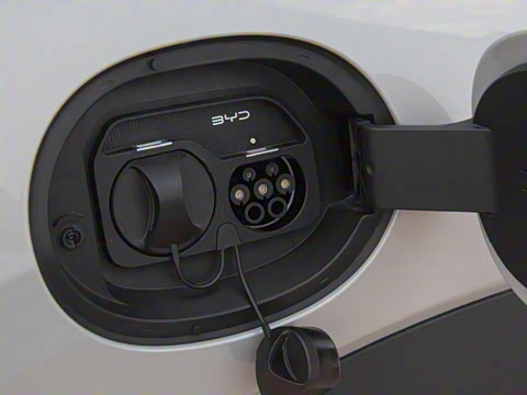 2025�� 135 �����ܼ����״��