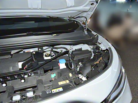 2024�� �Ŀ� PRO