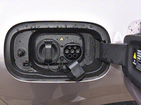 2025�� ��������� 515�����