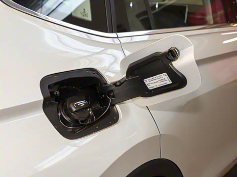 2024�� ���ڿ� 300TSI �Զ��������ڰ�