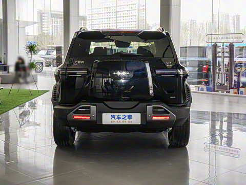 2025�� 501KM ����Max��