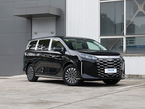 2025�� DM-i 1.5T 100km ��Խ��