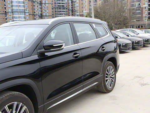 2025�� 1.6TD DCT������ 7��