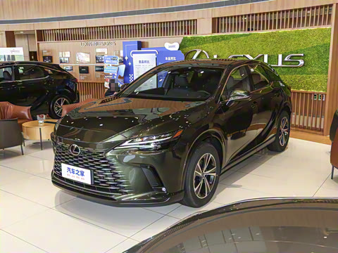 2025�� 300 ����������