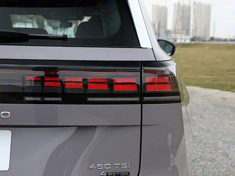 2025�� ;�� Pro 450TSI �����ݺ��