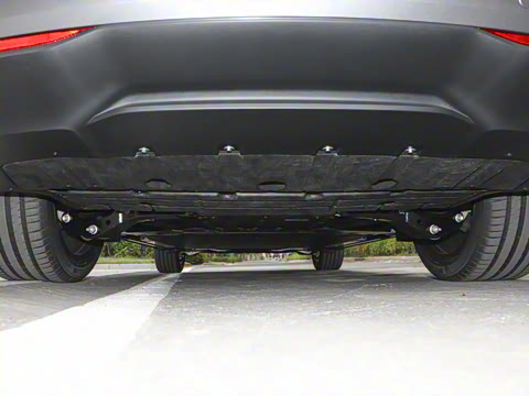 2025�� Max ������