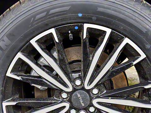 2024�� �ھ��� 1.5T �ֶ��ھ� 5��