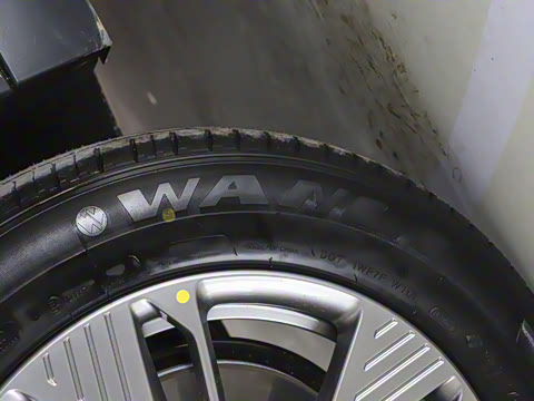 2025�� 565km ������