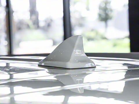 2025�� ������