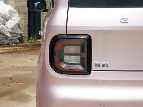 2024�� ��èmini 200km ����PRO��