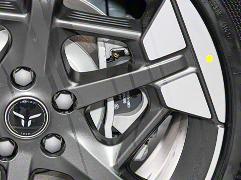 2025�� 520 ��ѡ��