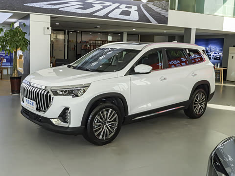 2025�� ��Խ�� 1.6TD DCT����PRO 5��