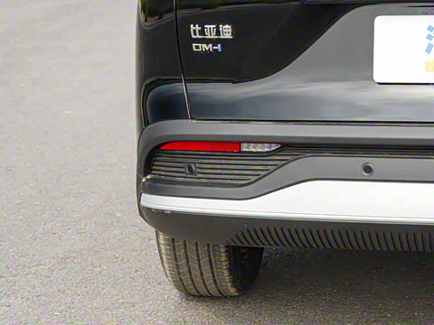 2025�� DM-i �Ǽݰ� 115KM������