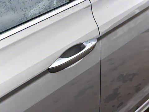 2025�� 300TSI DSG���а�