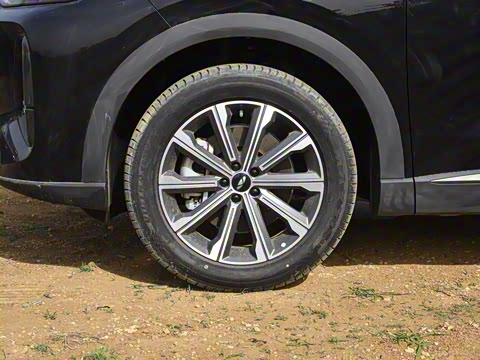 2025�� 120 �������������� 5�� �������