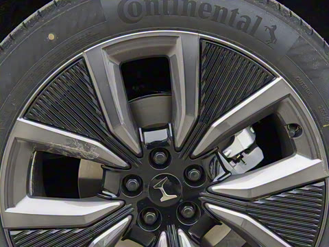 2025�� ����������Max