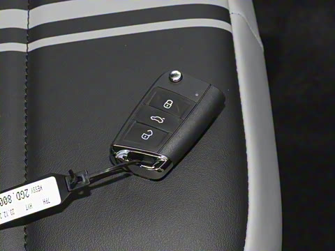 2025�� 300TSI DSG���������