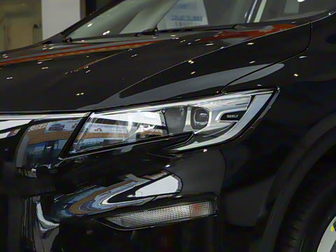 2025�� ��������