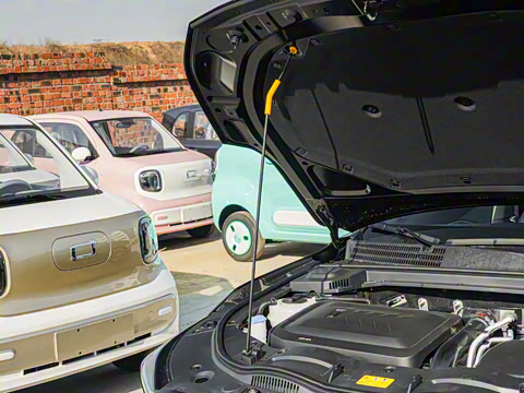 2025�� ��ҫ�� 1.5T ����ʿ