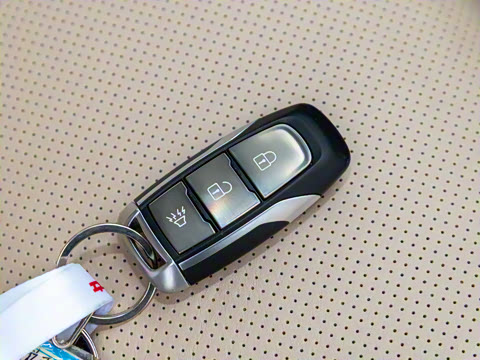 2024�� 2.0T ���������