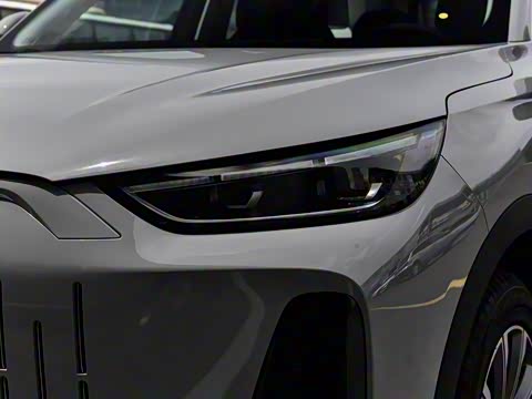 2024�� 120 �������������� 5�� ��Ԫ�