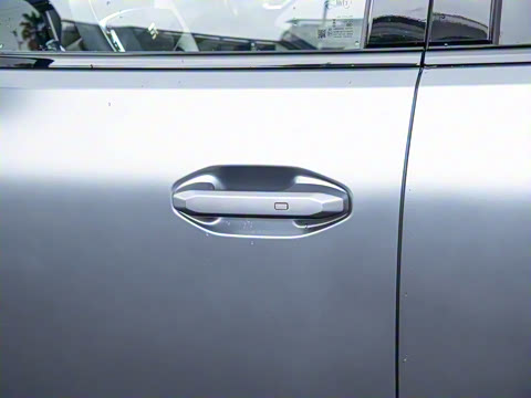 2024�� C-DM 208KM ɽҰ��