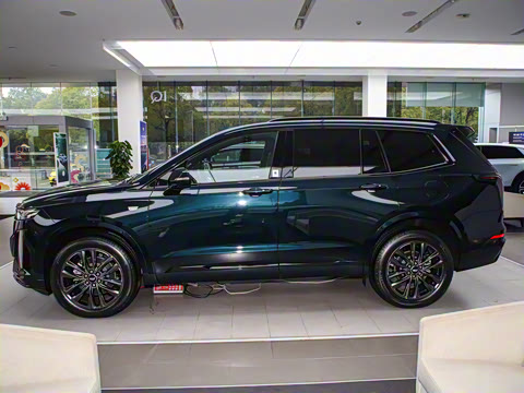 2025�� 2.0T ����������������ڱ��