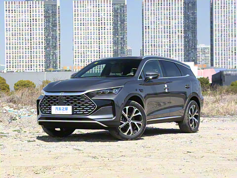 2025�� �Ǽݰ� DM-i 115KM �콢��