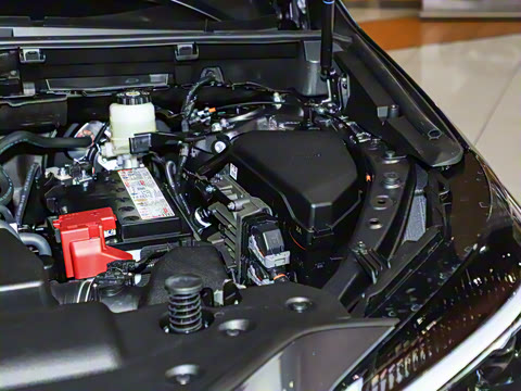 2025�� 260 ǰ�� �ر��