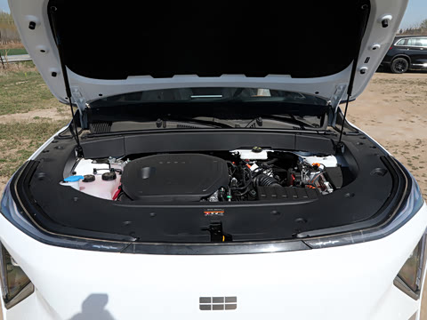 2025�� 3DHT 115km �ǽ���